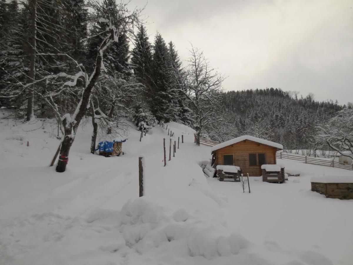 Landhaus Ziegelstadel วินดิชการ์สเทิน ภายนอก รูปภาพ