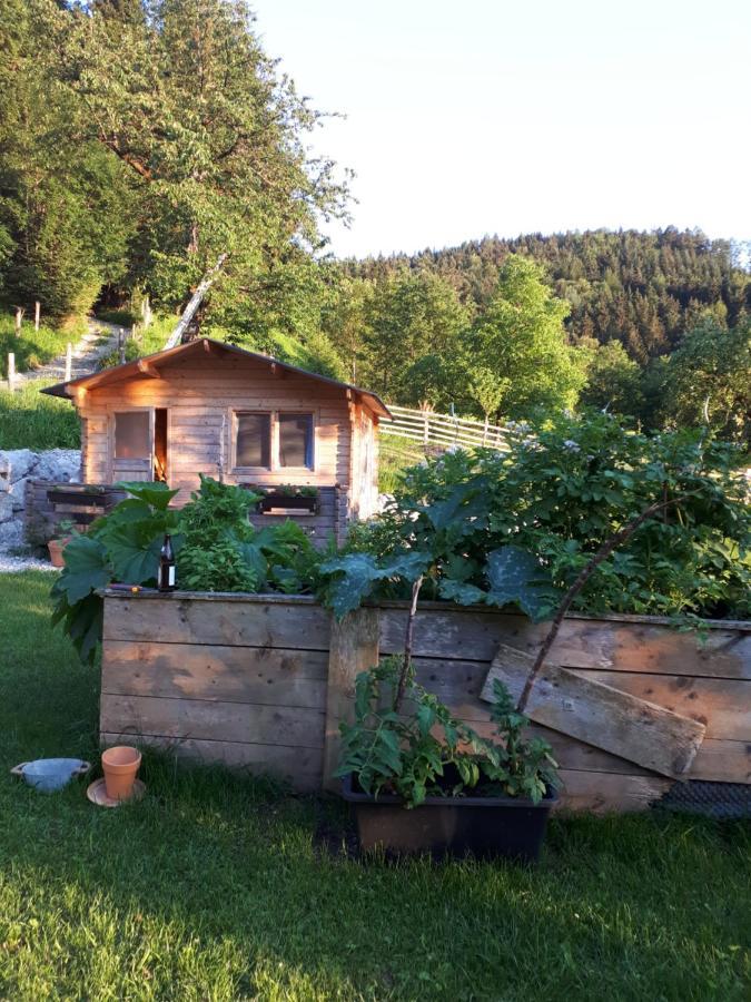 Landhaus Ziegelstadel วินดิชการ์สเทิน ภายนอก รูปภาพ